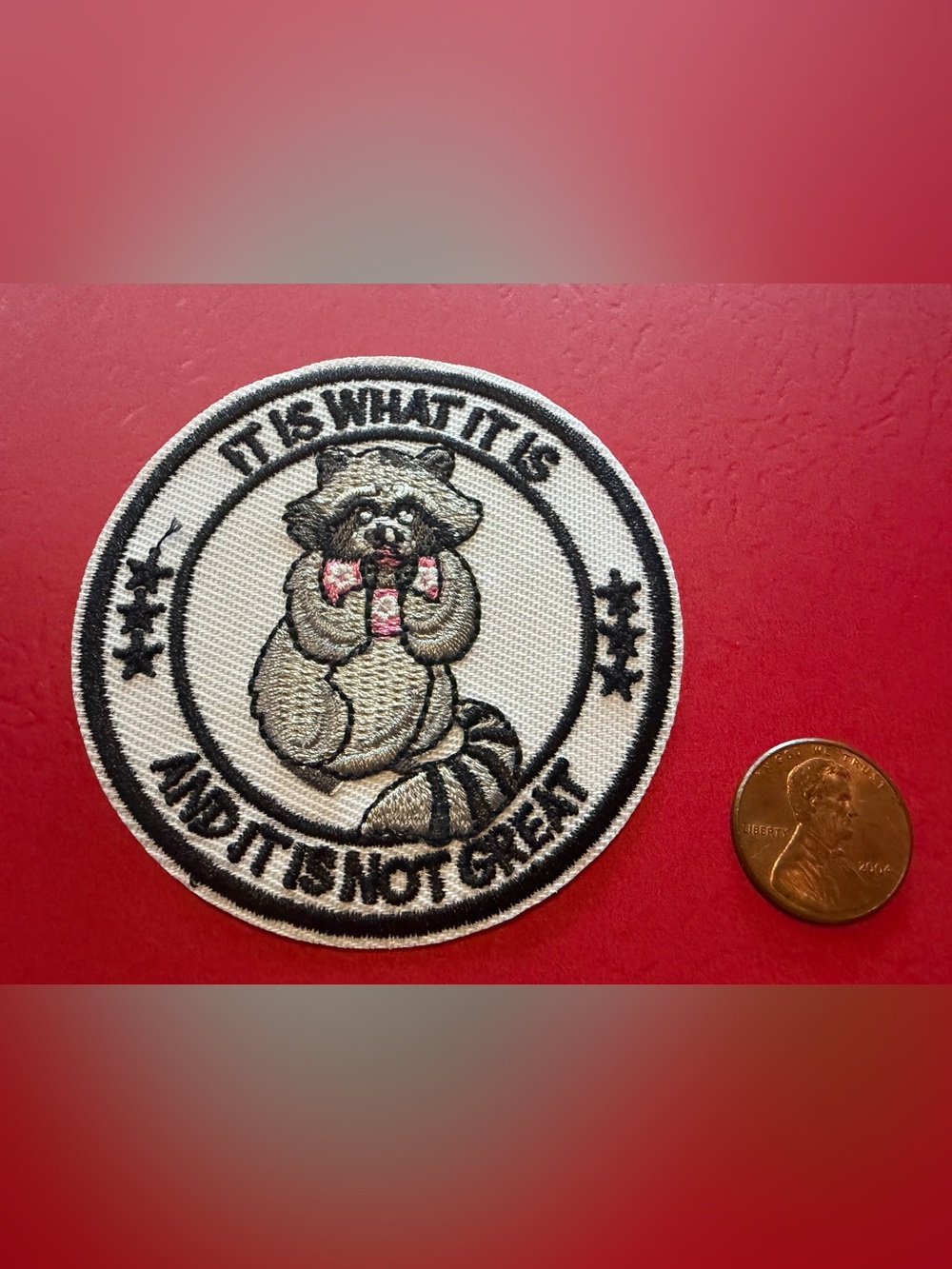 Embroidered Raccoon Patch - White and Black Accent